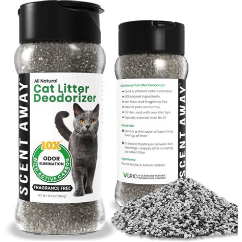 Cat Litter and Odor Control DIY Methods by 2025