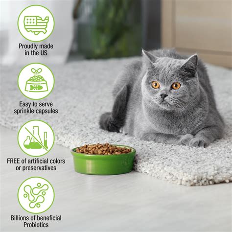 Cat Litter and Prebiotics: The 2025 Update