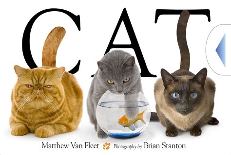 Cat Matthew Van Fleet Doc