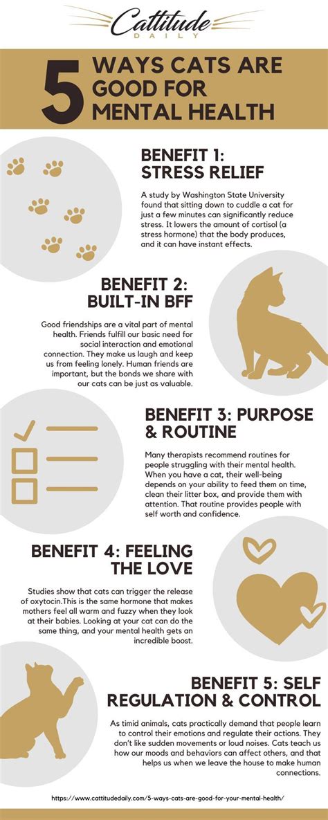 Cat Mental Health and Wellness: Essential Guide for 2025 and Beyond