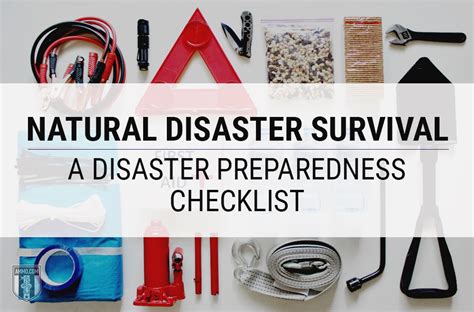 Cat Natural Disaster Preparedness: 2025 Survival Guide