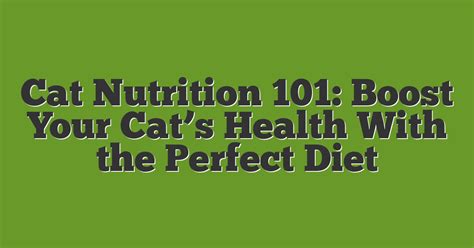 Cat Nutrition and Diet Plans VS Your Cat's Health in 2025