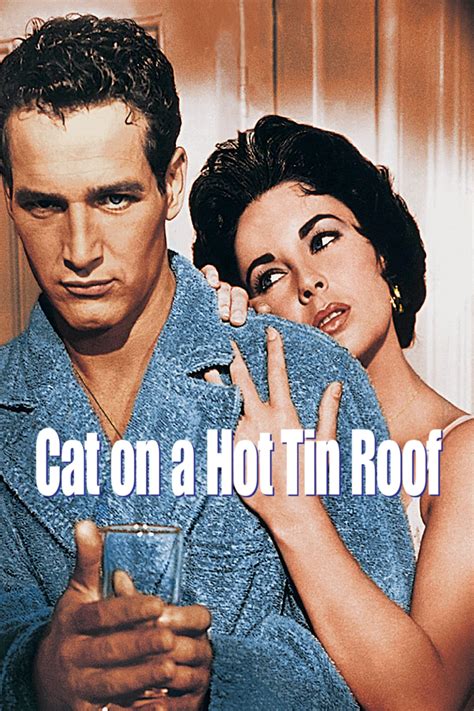 Cat On A Hot Tin Roof Doc