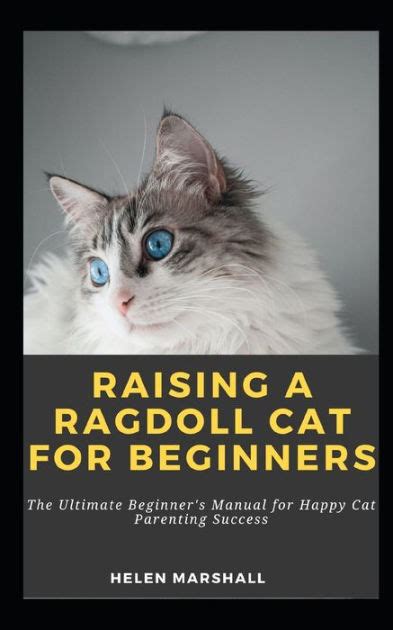 Cat Parenting for Beginners: 2025's Ultimate Guide