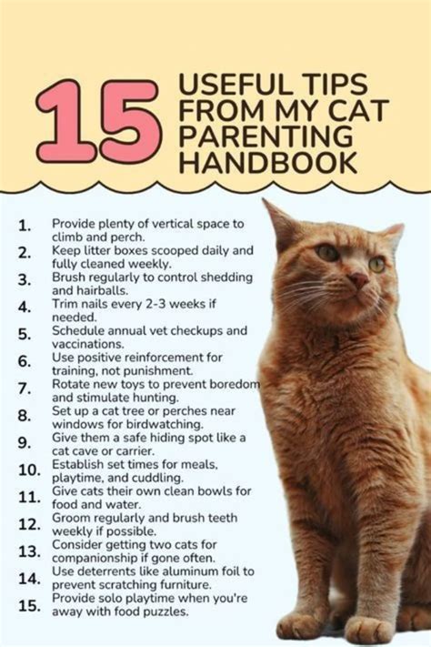 Cat Parenting vs Trauma: The Surprising 2025 Connection