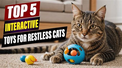 Cat Play and Stimulation in 2025: Essential VS Neglectful