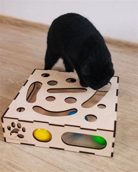 Cat Puzzle Toys VS Interactive Play: Unleashing Feline Intelligence and Well-being in 2025