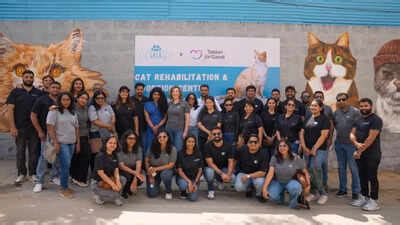 Cat Rescue and Rehabilitation: A Growing Movement by 2025