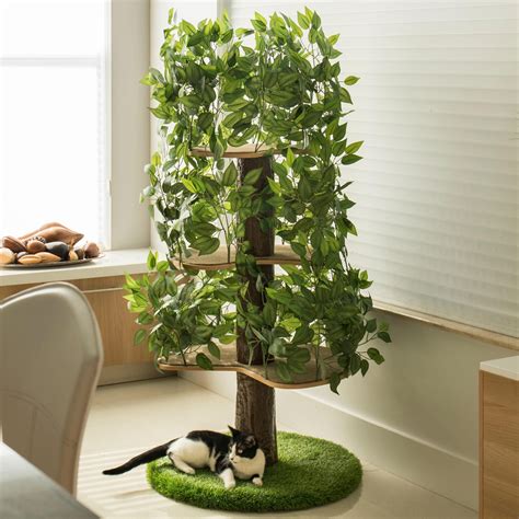 Cat Trees and Condos: The Ultimate Guide to Providing Your Feline Friend with a Vertical Paradise