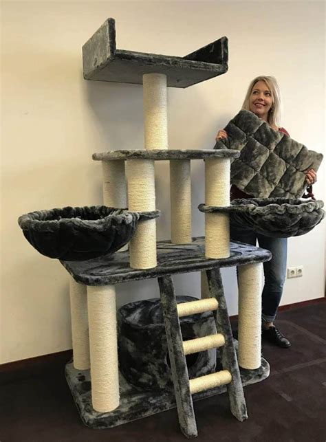 Cat Trees for Big Cats: A Comprehensive Guide