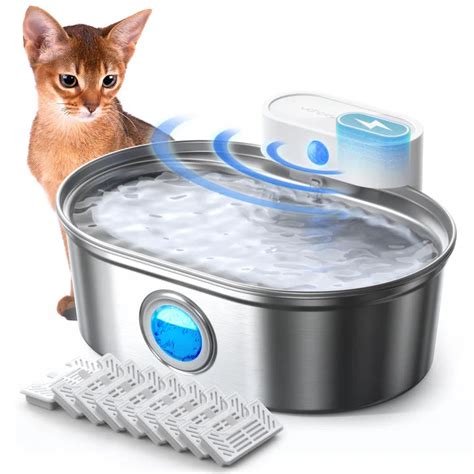 Cat Water Fountain Warranty VS Returns: 2025 Ultimate Guide