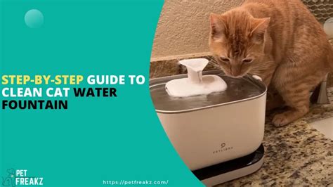 Cat Water Fountain with Easy Cleaning: The Ultimate Guide