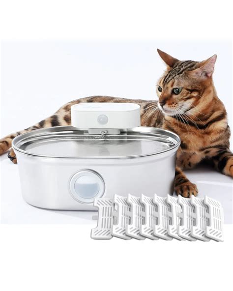 Cat Water Fountain with LED Lights: The 2025 Ultimate Guide