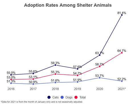 Cat Welfare vs Rescue Organizations: 2025 Outlook