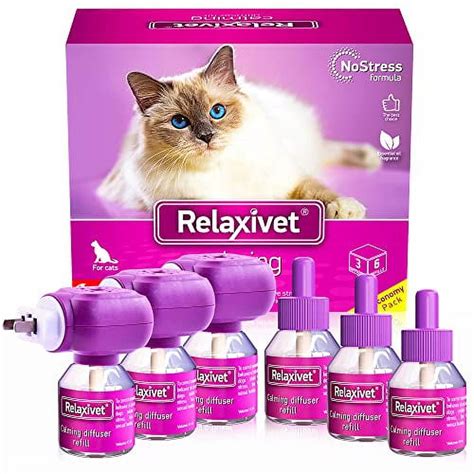 Cat calming pheromone therapy