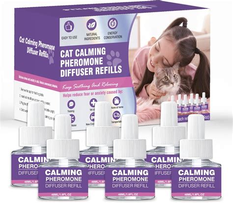 Cat diffuser choking hazards