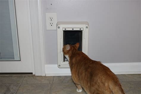 Cat door installation and setup tips