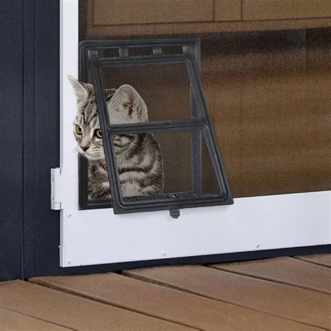 Cat door maintenance and troubleshooting