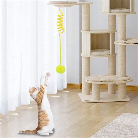 Cat interactive play and stimulation