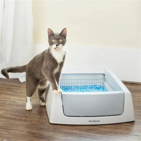 Cat litter and odor control for seniors