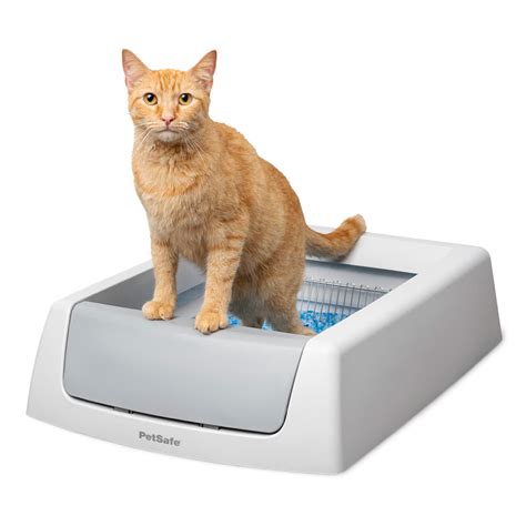 Cat litter and self-cleaning litter boxes