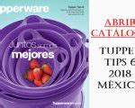 Catalogo De Tupper Tips 14 2018