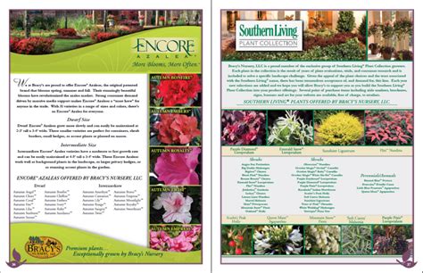 Catalogs For Plants