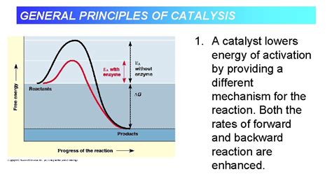 Catalysis From Principles to Applications PDF