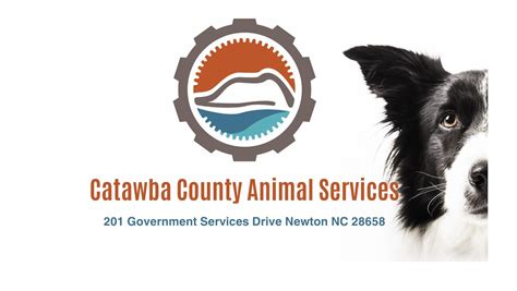 Catawba County Animal Control: Providing 24/7 Assistance for Over 40 Years