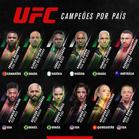 Categorias do UFC: Um Guia Completo para o Mundo das Artes Marciais Mistas