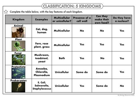 Categories Of Biological Classification Answer Key Doc