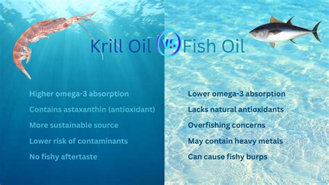 Catfish Oil vs Fish Oil: A Social Connection in 2025