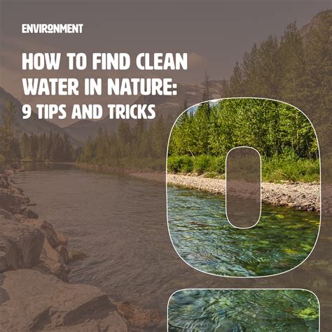 Catherine Brent Well Finder: A Comprehensive Guide to Finding Clean Water
