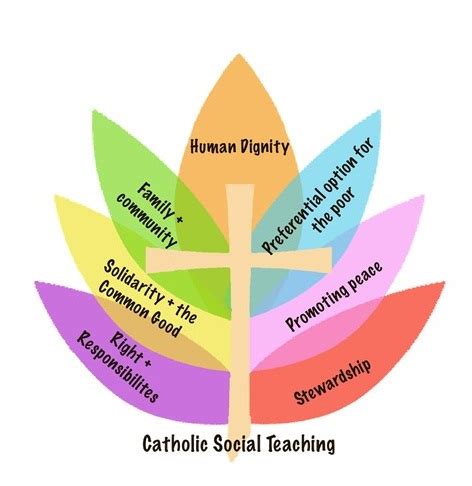 Catholic Social Teaching: Learning & Living Justice Reader