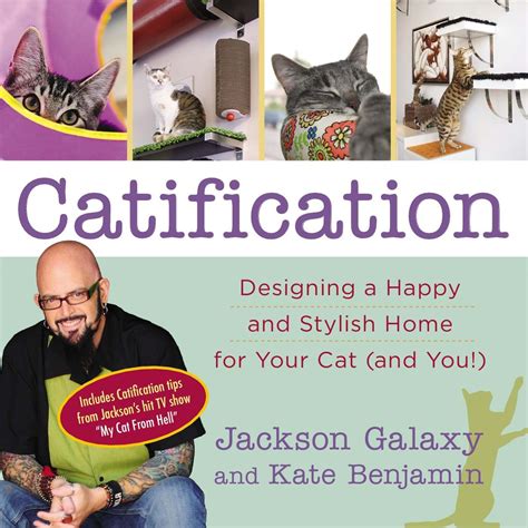 Catification Designing a Happy and Stylish Home for Your Cat and You