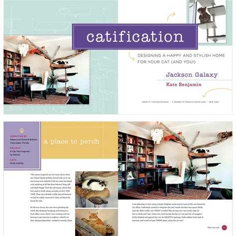 Catification Designing a Happy and Stylish Home for Your Cat and You