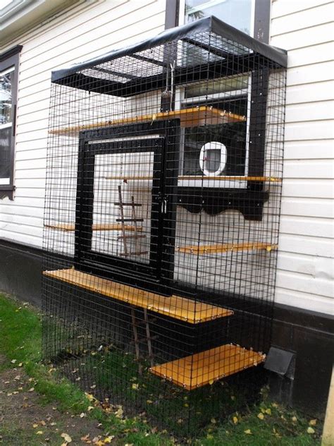 Catio for Sale: The Perfect Outdoor Space for Your Feline Friend