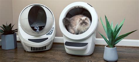 Catit vs Litter-Robot 2025: The Ultimate Litter Box Showdown