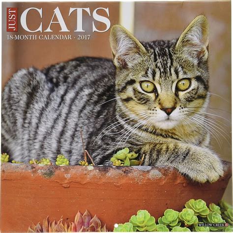 Cats 2017 Mini Day  Calendar Kindle Editon