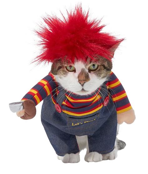 Cats in Costumes: A Tailored Transformation