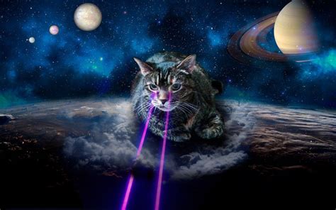 Cats in Space Kindle Editon