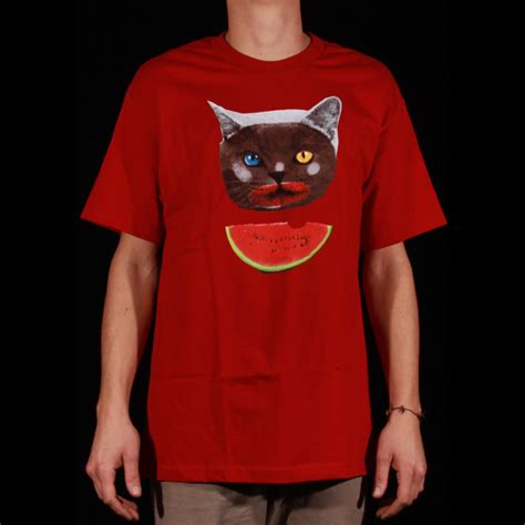 Cats of the Future: The Evolution of Odd Future Cat Shirts