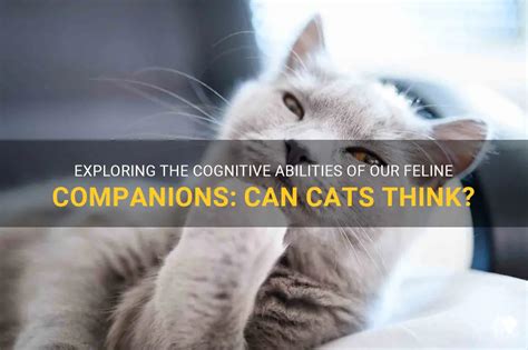 Catthinkin: The Emerging Field of Understanding Feline Cognition