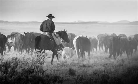 Cattle Club Direct: Empowering Ranchers Through Direct Marketing