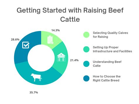 Cattle Club Direct: Your Comprehensive Guide to Real-Time Cattle Marketing