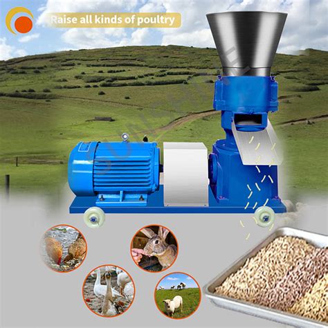 Cattle Feed Pellet Machine: The Ultimate Guide to Boosting Production Efficiency