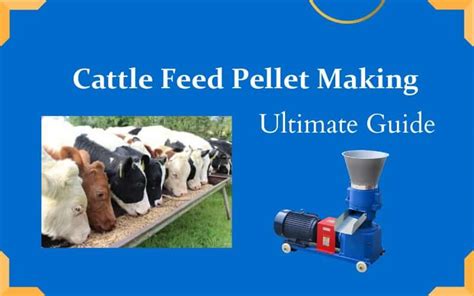 Cattle Feed Pellet Machine: Your Ultimate Guide for 2023