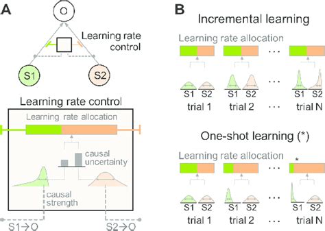 Causal Learning: