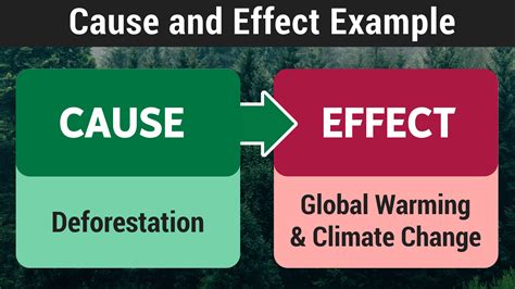 Cause and Effect PDF