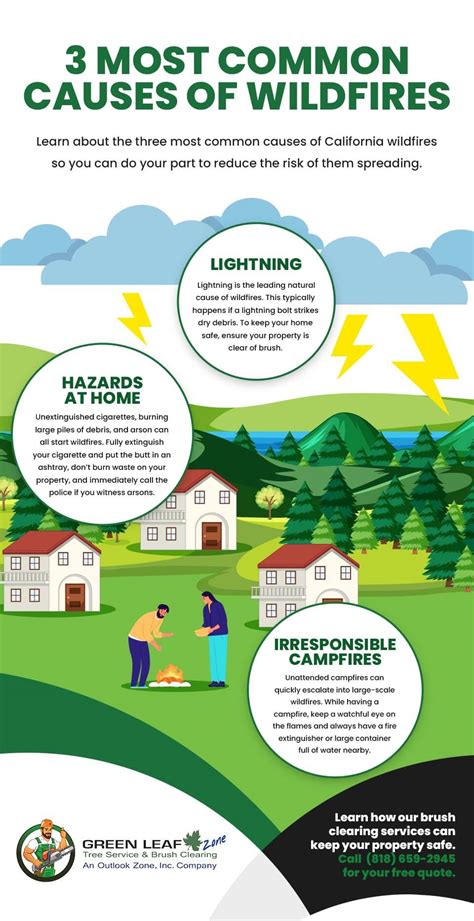 Causes and Consequences of Wildfires